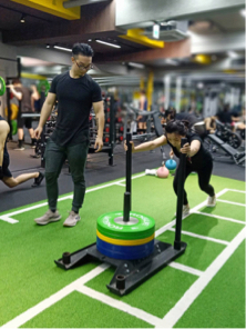 順Shun健康體態管理工作室 -  