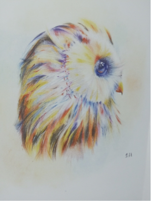 黃思穎 - 色鉛筆手繪作品