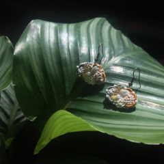 黃思穎 - 手作刺繡