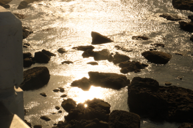 台北藝術大學 -     台北藝術大學 -