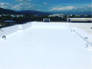 極鼎防水工程 - 屋頂PU防水隔熱