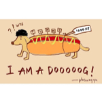 楊曉禎 - 真正的熱狗?️