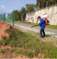 永義環境科技有限公司 - 紅火蟻防治