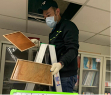 永義環境科技有限公司 - 鼠患防治