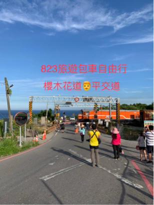 823旅遊 - 台東太麻里櫻木花道?‍?鐵道