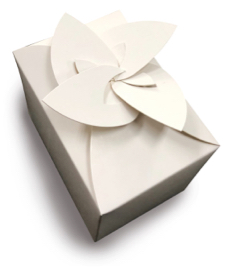 楊孟宏 - 普通盒型3