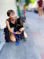 狗狗訓練師 李薇 -  狗狗訓練師 李薇 -