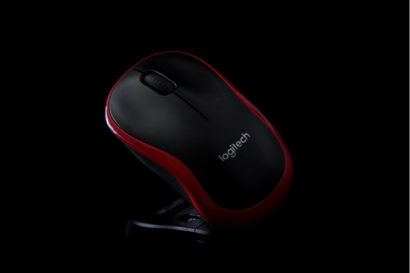 柳丁 - 單色背景 商攝