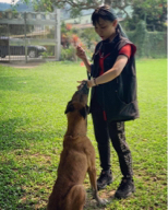 狗狗訓練師 李薇 - 專注力訓練 狗狗訓練師 李薇 - 專注力訓練