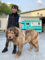 狗狗訓練師 李薇 - 工作照 狗狗訓練師 李薇 - 工作照