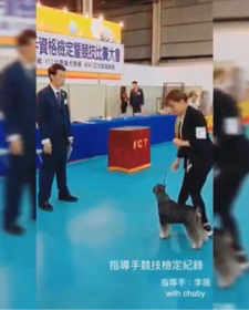 狗狗訓練師 李薇 - 指導手競技 狗狗訓練師 李薇 - 指導手競技