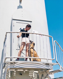 狗狗訓練師 李薇 - 專注力 狗狗訓練師 李薇 - 專注力