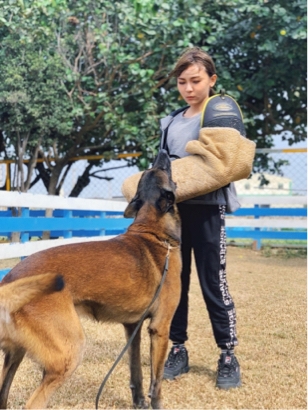 狗狗訓練師 李薇 - 咬補訓練 狗狗訓練師 李薇 - 咬補訓練