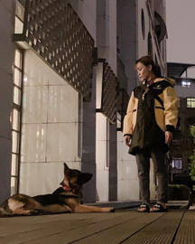 狗狗訓練師 李薇 - 臥等訓練 狗狗訓練師 李薇 - 臥等訓練