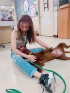 狗狗訓練師 李薇 - 工作照 狗狗訓練師 李薇 - 工作照