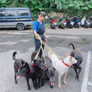 狗狗訓練師 李薇 - 工作照 狗狗訓練師 李薇 - 工作照