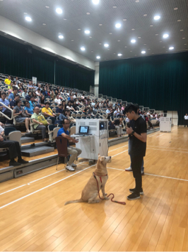 正向寵物行為訓犬師 米恩 - 代表教育局與各大教師教導犬隻生命教育