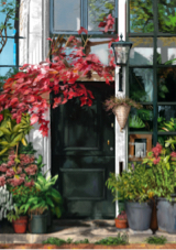 阿童 & 時光老人 - 