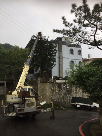 西乃山老屋翻新與修繕工程 - 園藝 西乃山老屋翻新與修繕工程 - 園藝