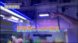 李志仁 - YouTube 影片製作