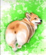 S’ Design - 擬真電繪_柯基犬