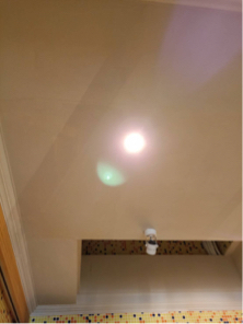 東秝國際有限公司 - 竹北