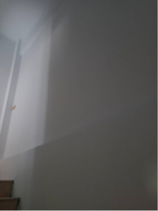 東秝國際有限公司 - 竹北