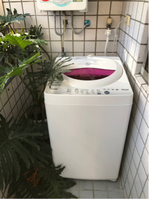 澄淨創意 - 洗衣空間與植栽