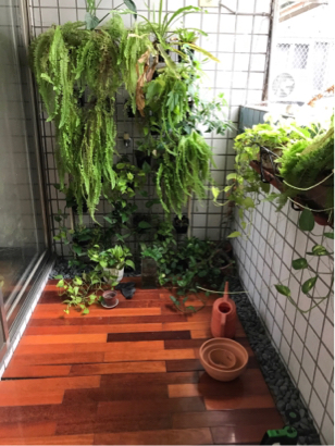 澄淨創意 - 陽台美化