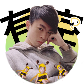 游皓翔(叛匠Youtube)有關於影像製作 - 