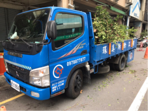 環美拆除工程 - 坎樹工程