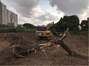 環美拆除工程 - 整地