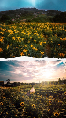 ChiaCheng Lin - 風景創作 IG@chia.cheng.lin