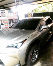 鄭皓皓 - 打完蠟