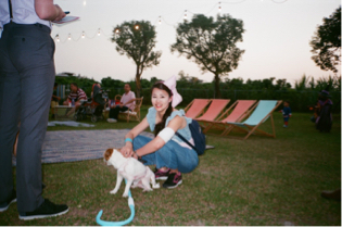 xin 工作室 - 寵物