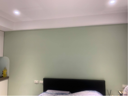 世華工程行 - 青葉乳膠漆跳色粉刷