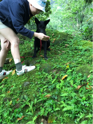 林暐勳 - 正向食物引導訓練方法