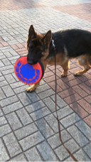 林暐勳 - 遊玩、丟接訓練