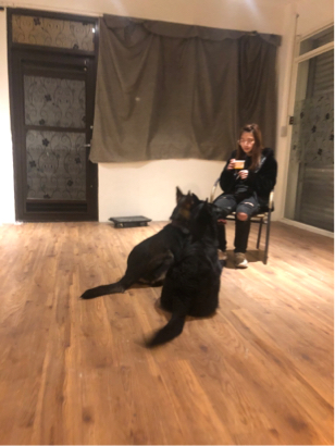 林暐勳 - 服從、等待訓練