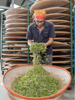 小林攝影工作室 林祐年 - 人物採訪