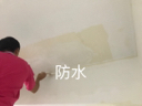 宗慧油漆工程行 -  宗慧油漆工程行 -