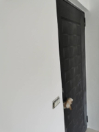 廣藝專業塗裝裝修工程 - 