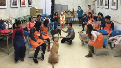 正向寵物行為訓犬師 米恩 - 臺北市動物之家志工訓練