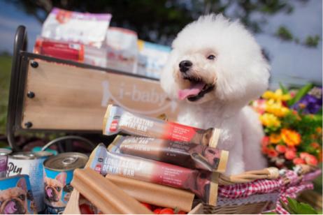 小巴老師攝影/團隊 - 