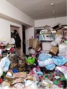 宏家工程有限公司 - 南港居家垃圾清除