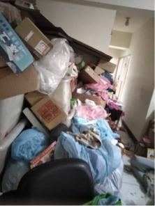 宏家工程有限公司 - 南港居家垃圾清除