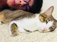 全能小卜卜 - 年紀最大的老大貓「小心喵」