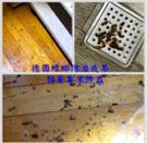 極淨環衛 -  極淨環衛 -