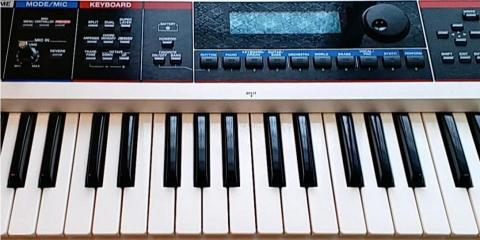 臺北市大安區延吉街68-3號 - 電子琴有許多音色功能，也可以作不同的音效。