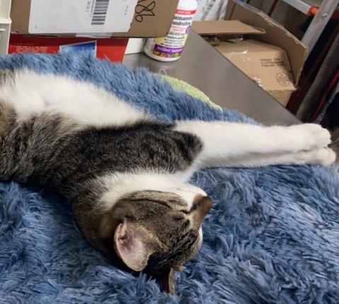 提供晚班兼職作業員服務的專家Derrick